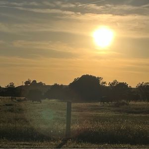 Meet your Posher, Theresa